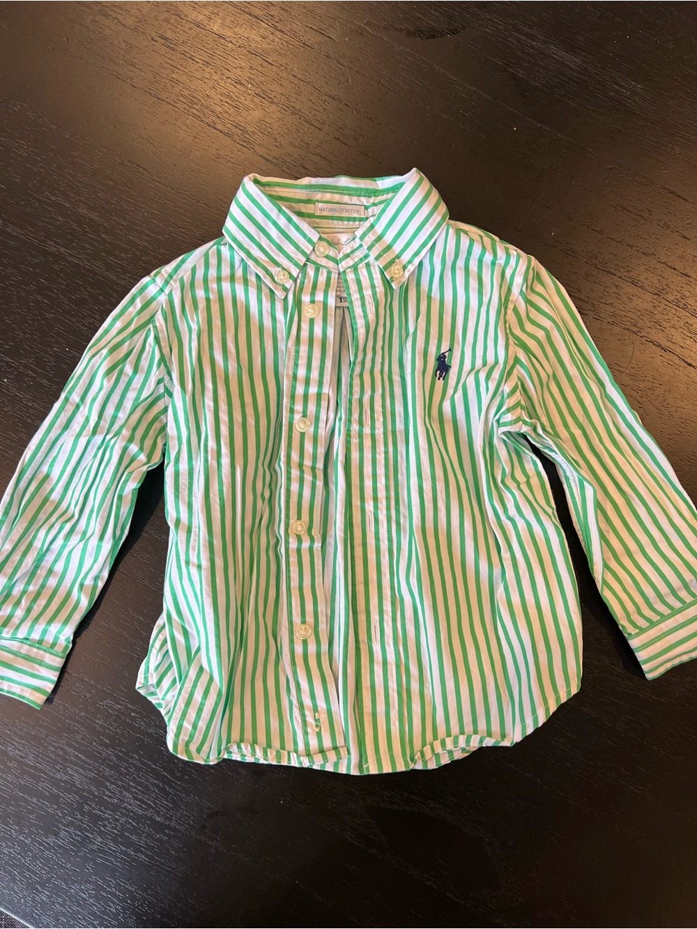 Ralph Lauren Green & White Striped Button-Down Shirt for Kids